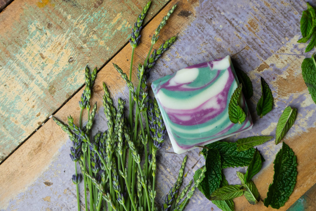 The Alpine Forest Frost Soap