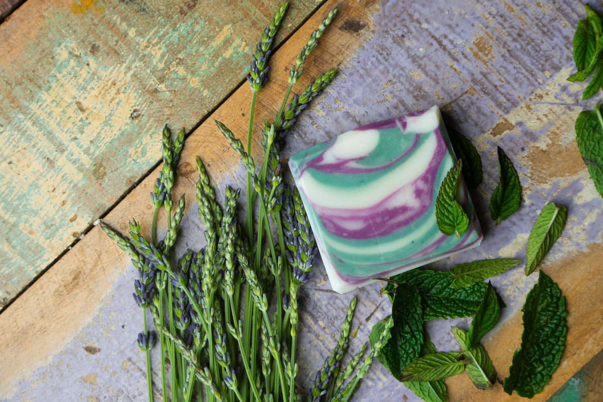 The Alpine Forest Frost Soap
