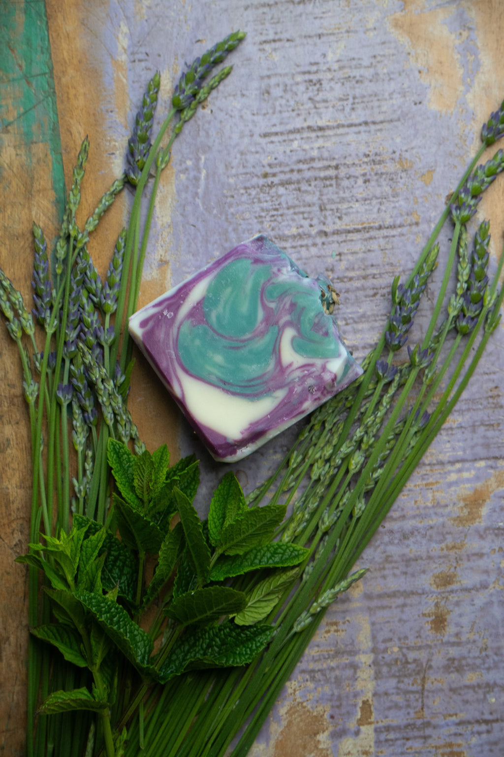 The Alpine Forest Frost Soap
