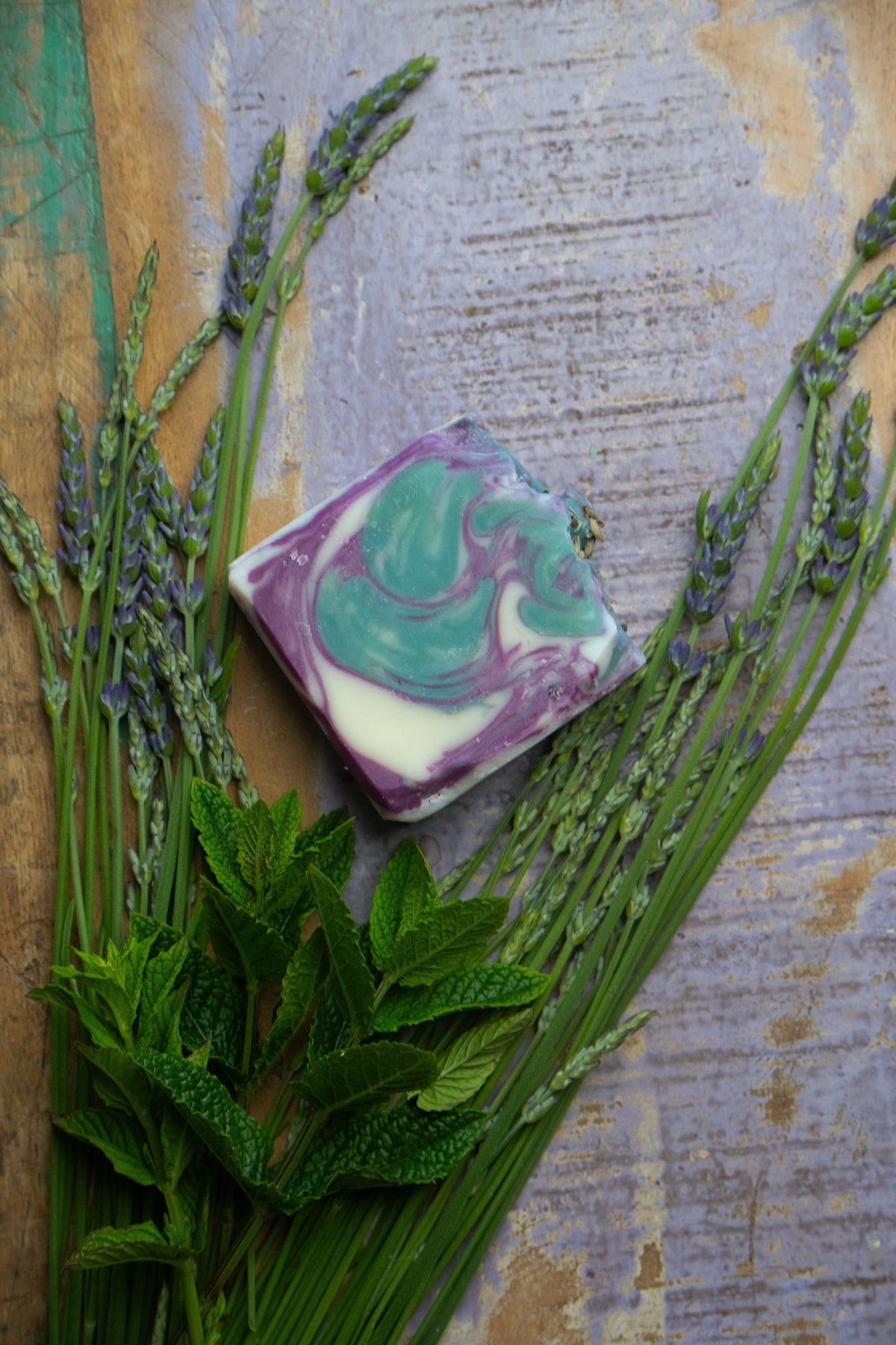 The Alpine Forest Frost Soap
