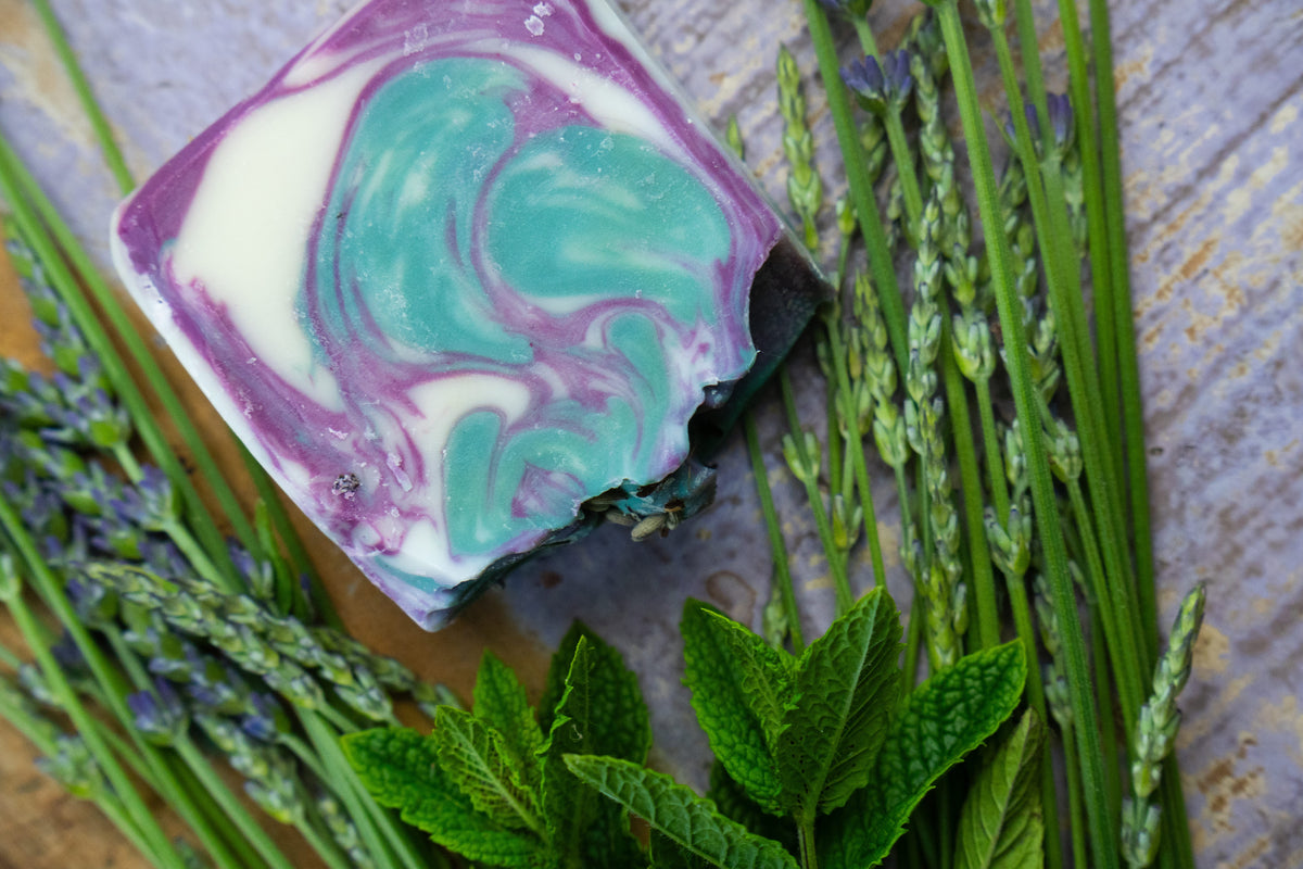 The Alpine Forest Frost Soap