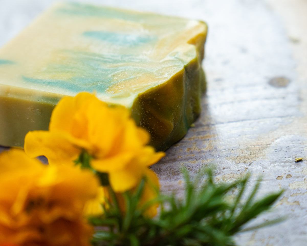 The Clean Koala Creek Soap