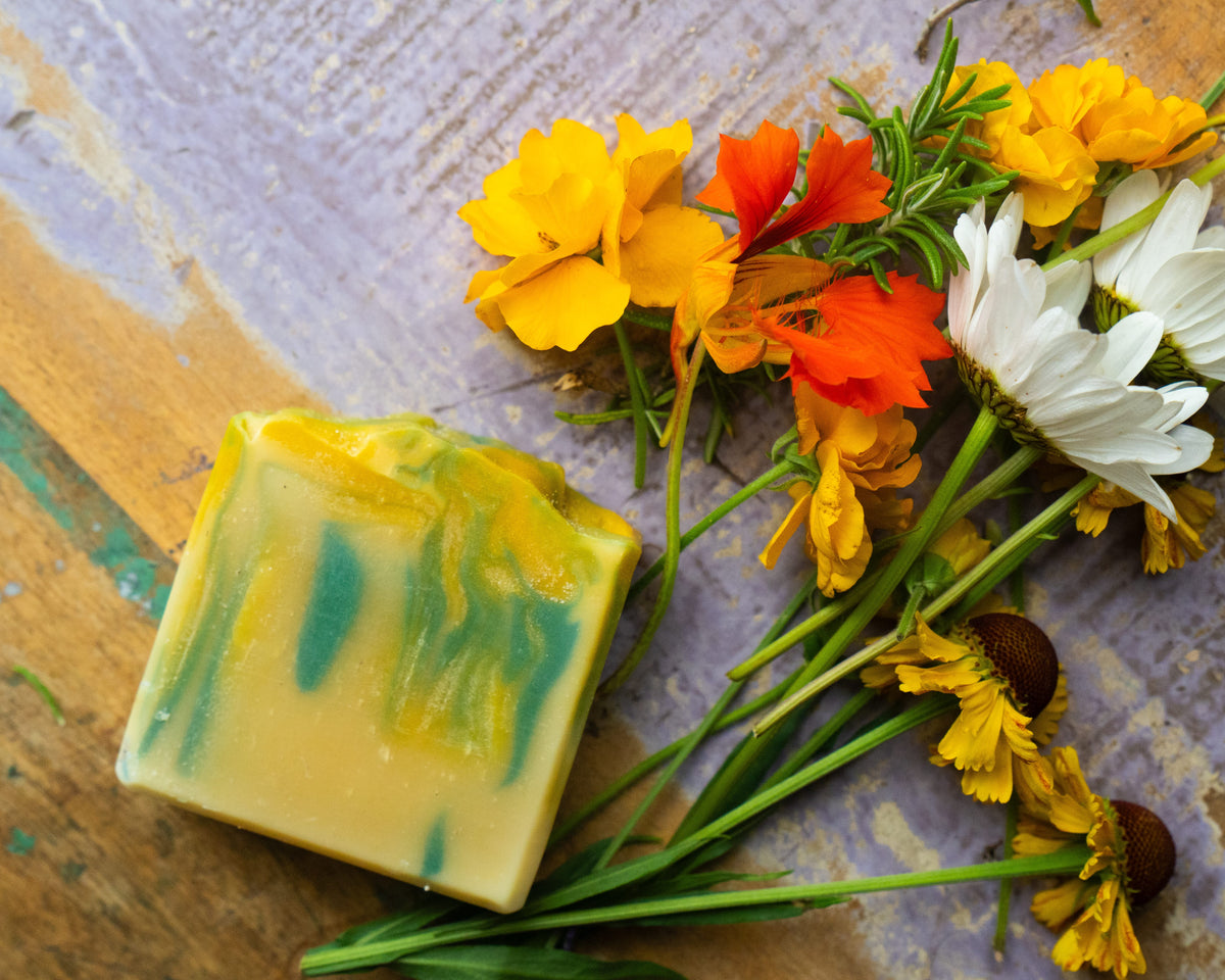 The Clean Koala Creek Soap