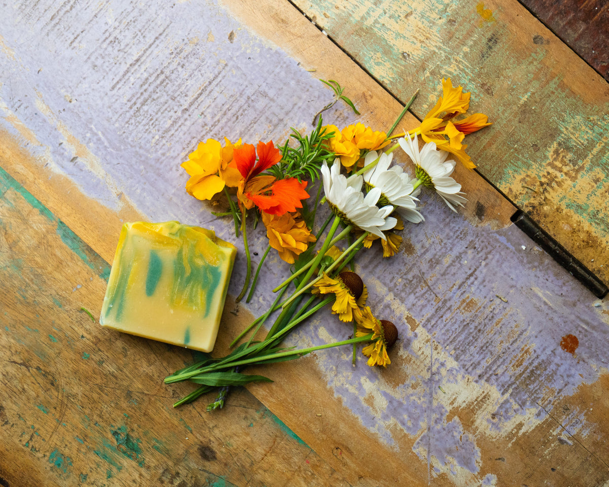 The Clean Koala Creek Soap