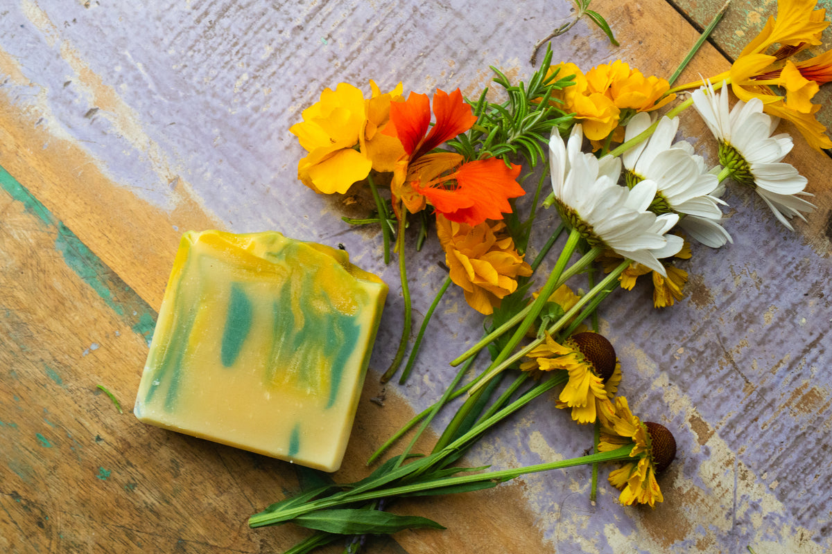 The Clean Koala Creek Soap